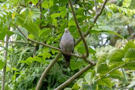 Burgers Zoo 02.09.2018