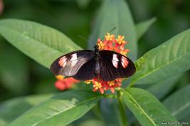 Burgers Zoo 02.09.2018
