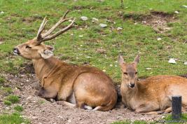 Burgers Zoo 27.07.2017