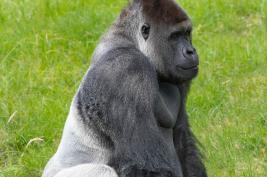 Burgers Zoo 27.07.2017