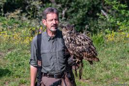Wild Freizeitpark Klotten