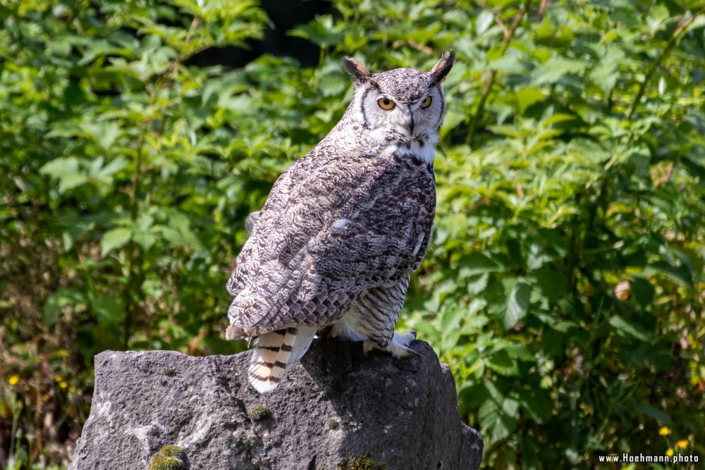 WildFreizeitpark_Klotten_015