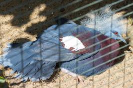 Dortmunder Zoo 28.06.2015