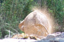 Duisburger Zoo 26.07.2015