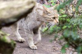 Duisburger Zoo 26.07.2015