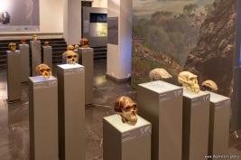 Georgian-National-Museum_18.05.2019