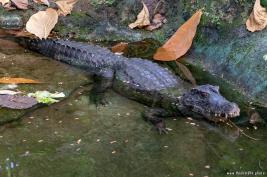 Krefelder Zoo 09.09.2018