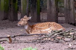 Krefelder Zoo 09.09.2018
