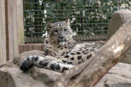 Krefelder Zoo 09.09.2018