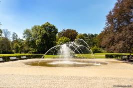 Lüneburg und Salz-Museum 23.07.2019