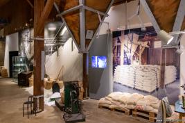 Lüneburg und Salz-Museum 23.07.2019