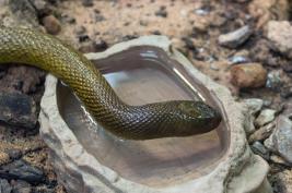 Terra Zoo Rheinberg 22.08.2015