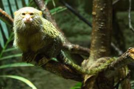 Tierpark Bochum 18.07.2015