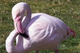 Tierpark Bochum 18.07.2015