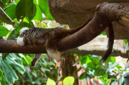 Tierpark Bochum 18.07.2015