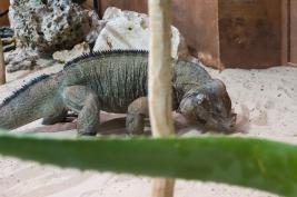 Tierpark Bochum 18.07.2015