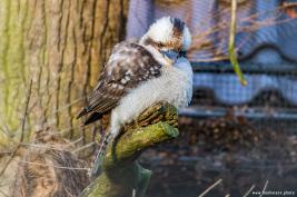 Tierpark Hamm 29.12.2015