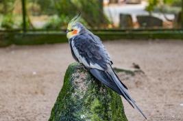 Tierpark Hamm 29.12.2015