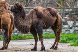 Tierpark Hamm 29.12.2015