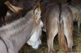 Urlaub Center Parcs De-Eemhof 2015