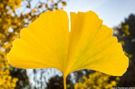 Westfalenpark Dortmund 01.11.2015