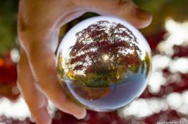 Westfalenpark Dortmund 01.11.2015