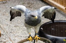 Wild Freizeitpark Willingen 10.06.2020