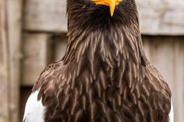Wild Freizeitpark Willingen 10.06.2020