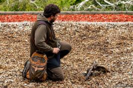 Wildpark Willingen 10.06.2020