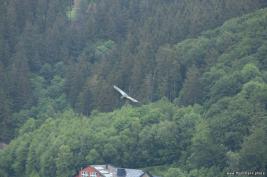 Wild Freizeitpark Willingen 10.06.2020