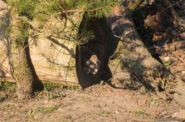 ZOOM Erlebniswelt 17.03.2016