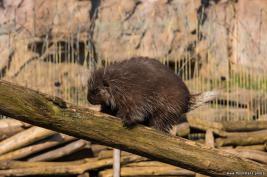 ZOOM Erlebniswelt 17.03.2016