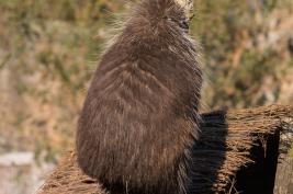 ZOOM Erlebniswelt 17.03.2016