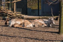 ZOOM Erlebniswelt 17.03.2016