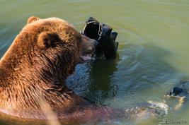 ZOOM Erlebniswelt 17.03.2016