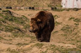 ZOOM Erlebniswelt 17.03.2016