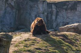 ZOOM Erlebniswelt 17.03.2016