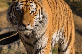 ZOOM Erlebniswelt 17.03.2016