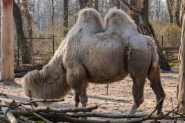 ZOOM Erlebniswelt 17.03.2016