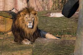 ZOOM Erlebniswelt 17.03.2016